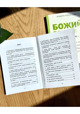 Божий порадник співпраці з волею Бога